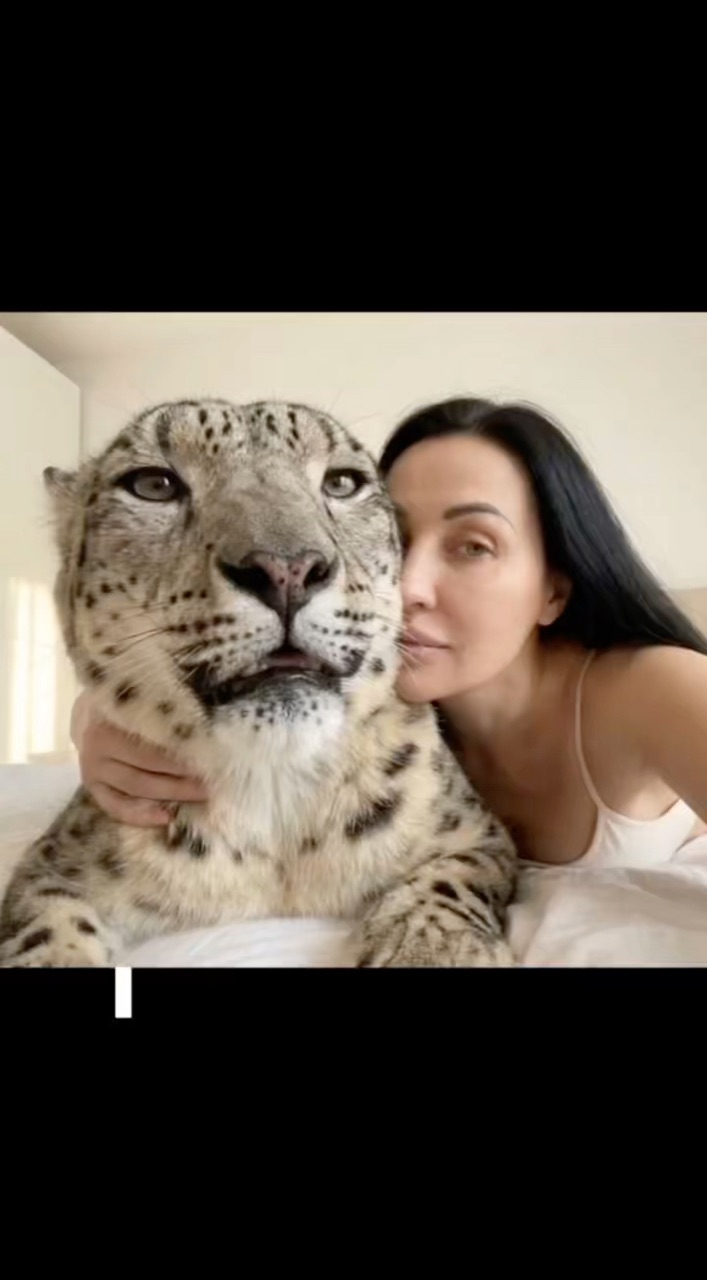 Елена Владимировна в LOOKY. . [#ктосчастливтотипра...