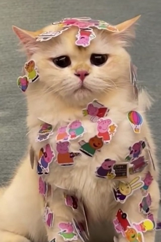 Ymenyalapki в LOOKY. . 🐾 я вам что - шутка...