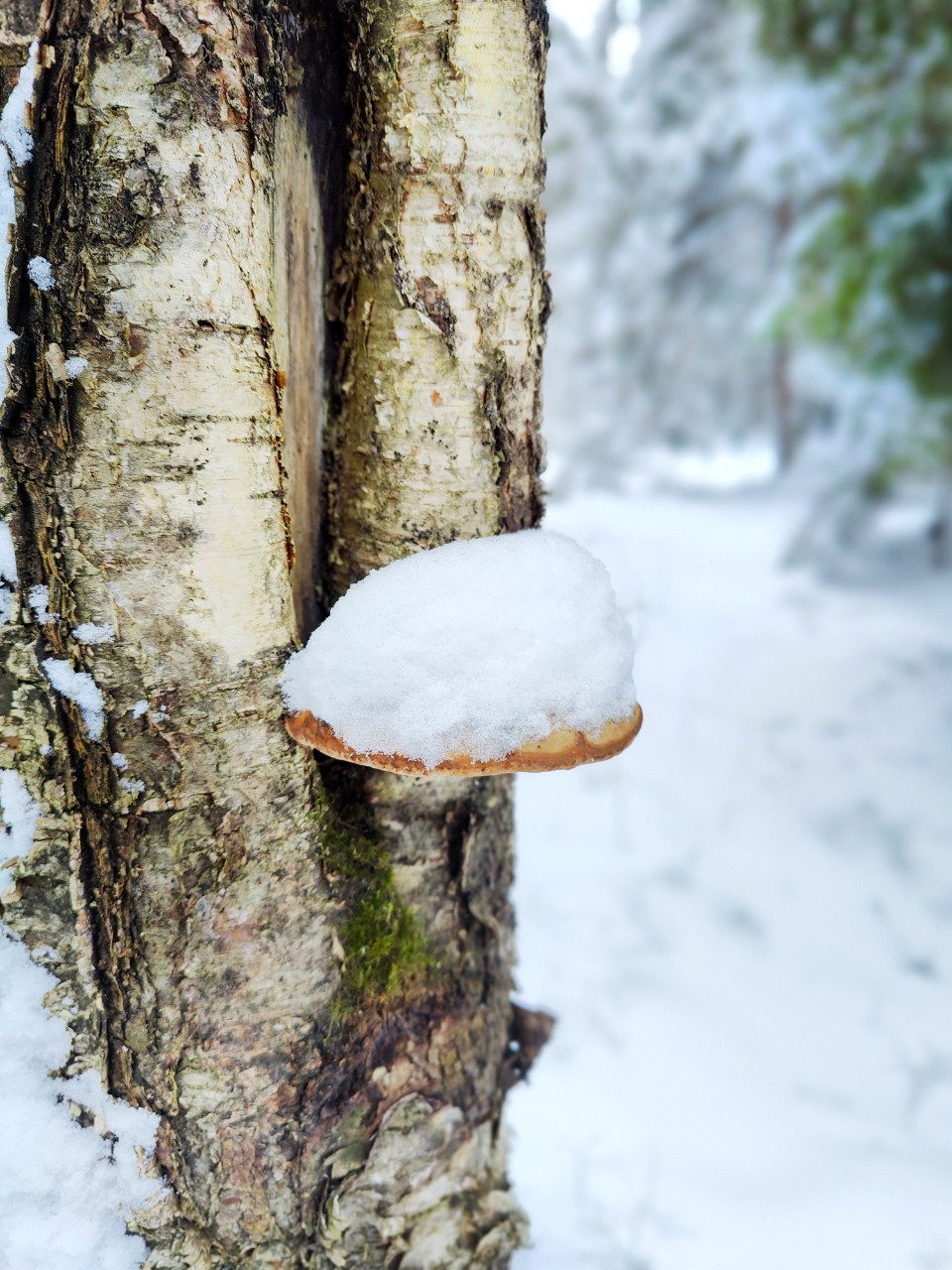 Виктор в LOOKY — фото 6