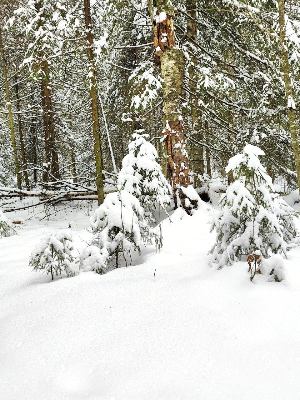 Виктор в LOOKY — фото 3