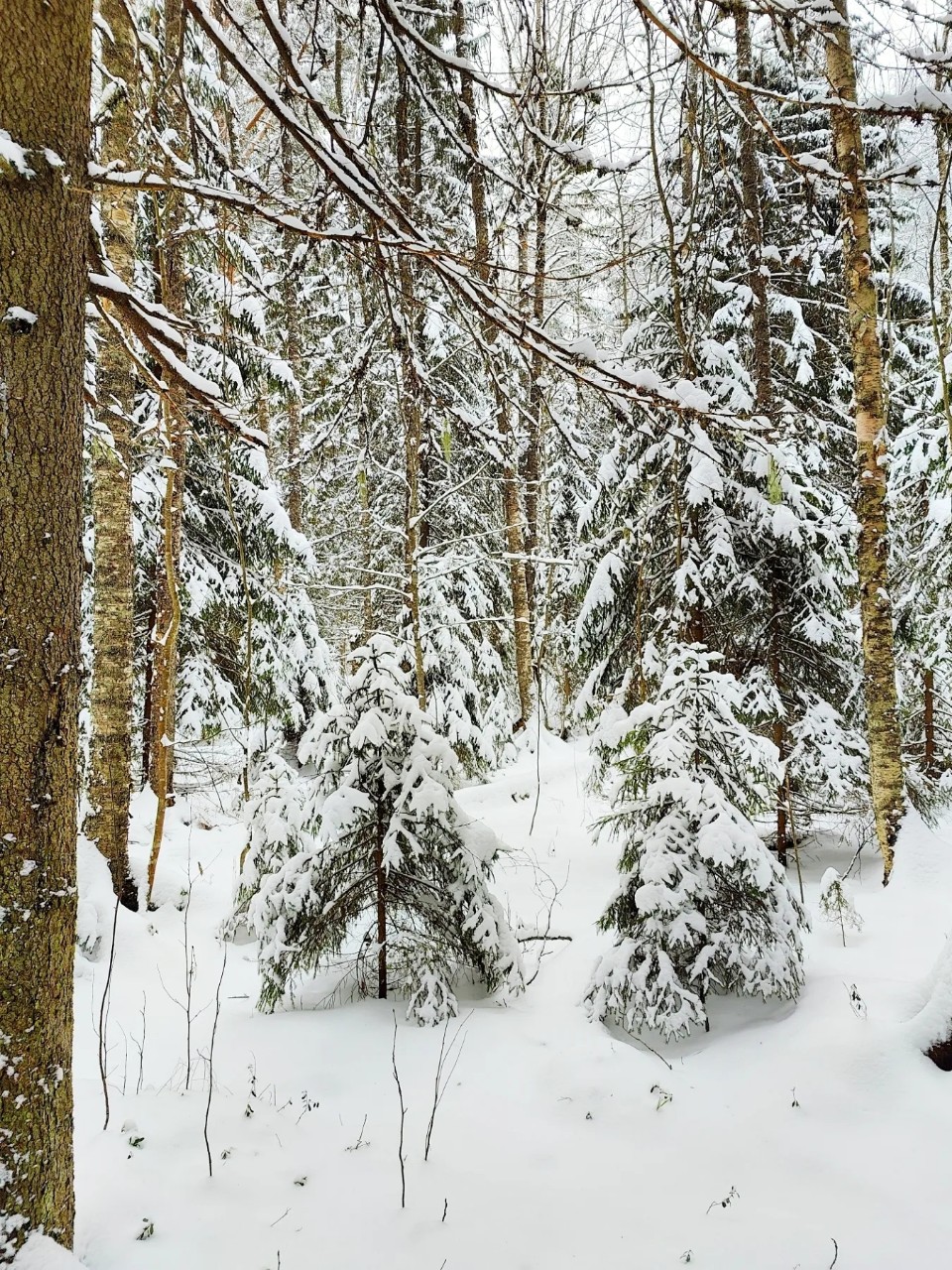 Виктор в LOOKY — фото 4