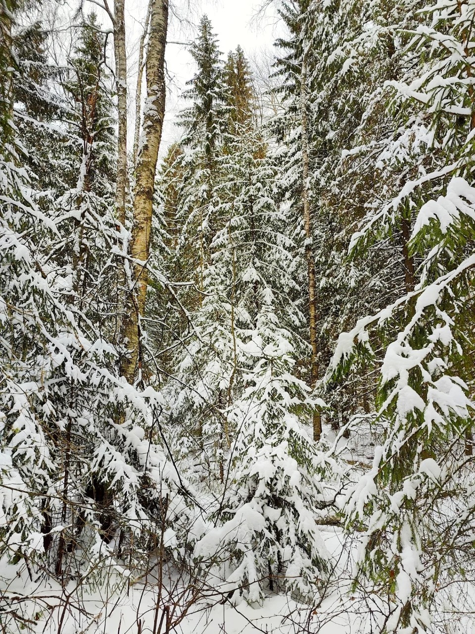 Виктор в LOOKY — фото 2