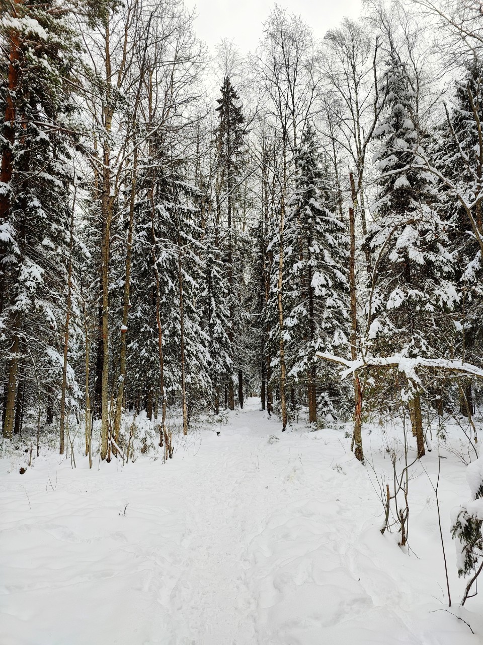 Виктор в LOOKY — фото 5