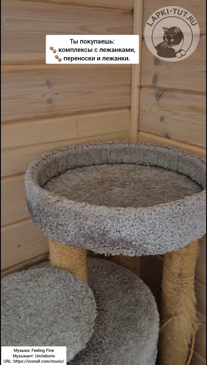 lapkitutru в LOOKY. #лапкитут,#товарыдлякошек,#котбосс,#когтеточка,#котвдоме. Ты покупаешь все леж...