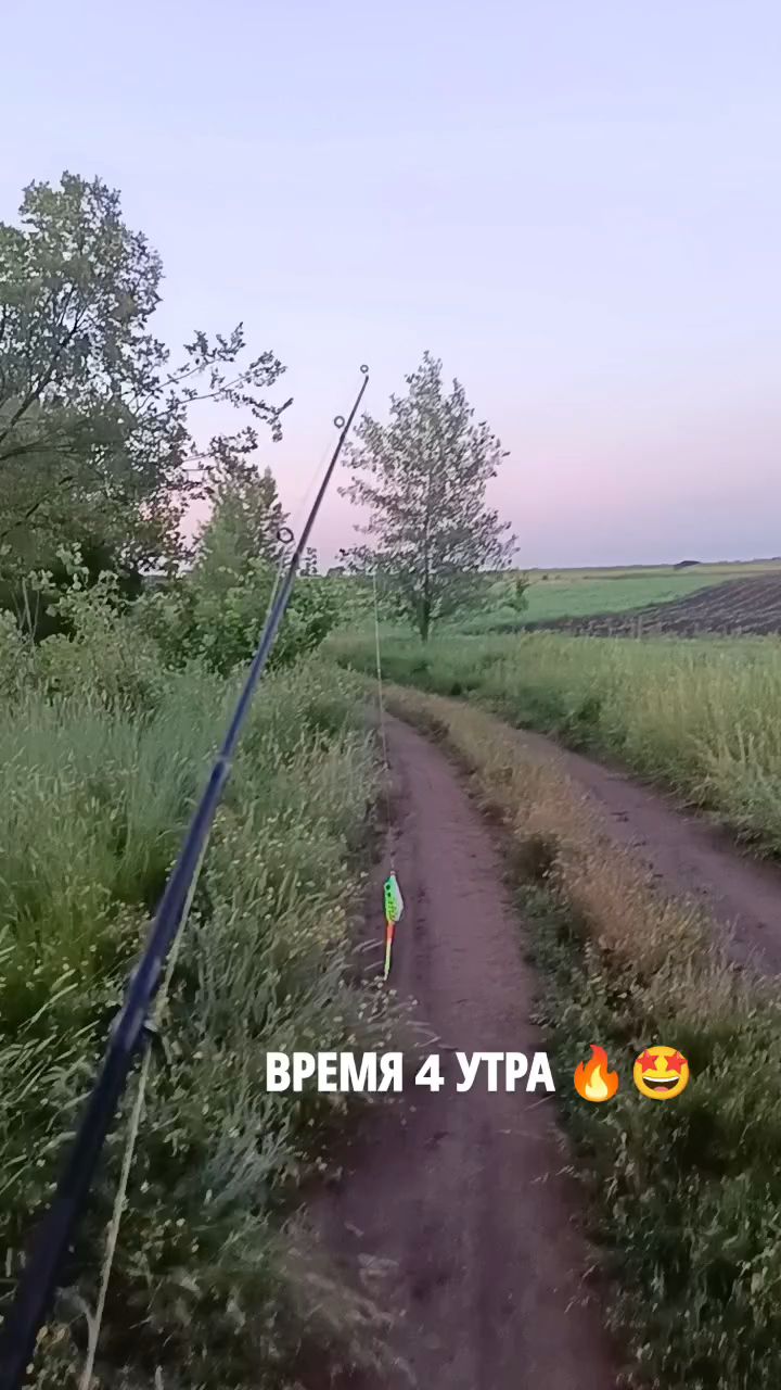 belovajulya1990 в LOOKY. . 