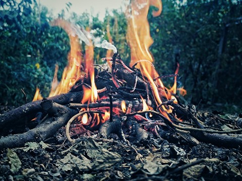 a_redko в LOOKY. . 
