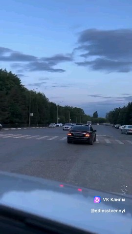 Костя Пакистан in LOOKY. . Темный мерин