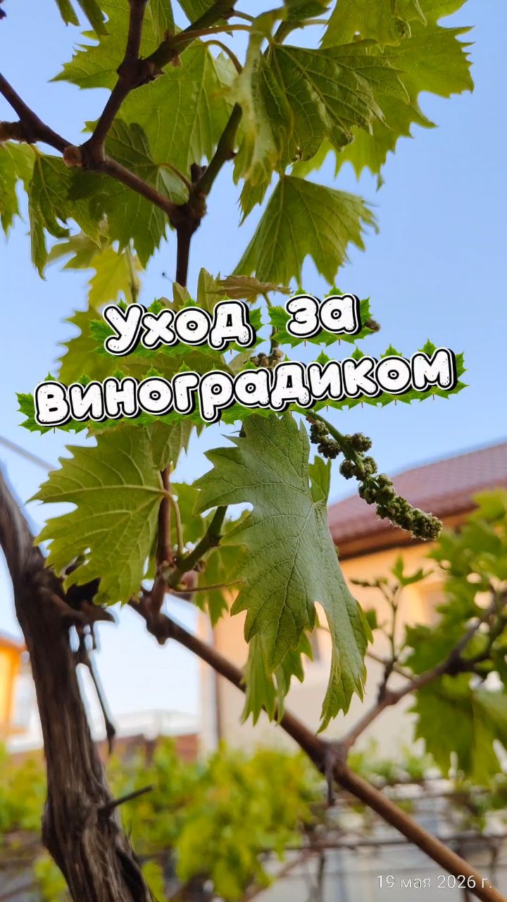Looky_176355093664696 в LOOKY. . Приезжайте к нам.
У ...
