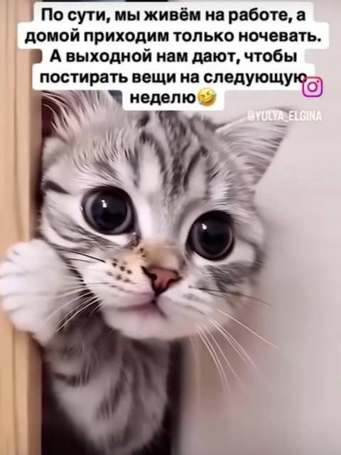  в LOOKY — публикация