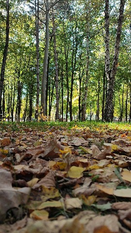 a_karambola в LOOKY. . Нравится мне всё же ...