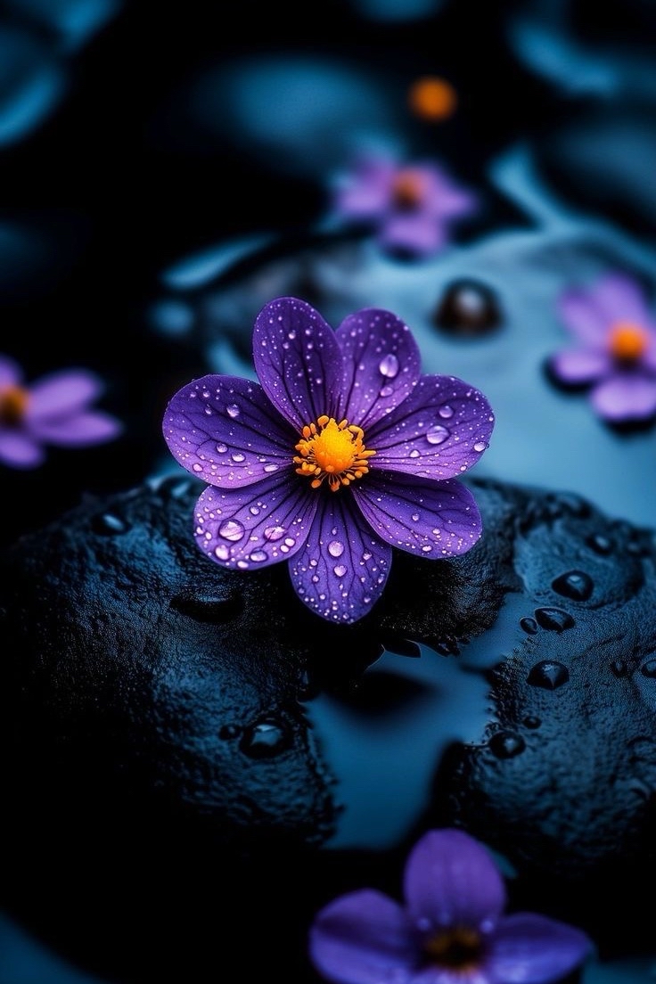 all_about_nature079 в LOOKY — фото 4