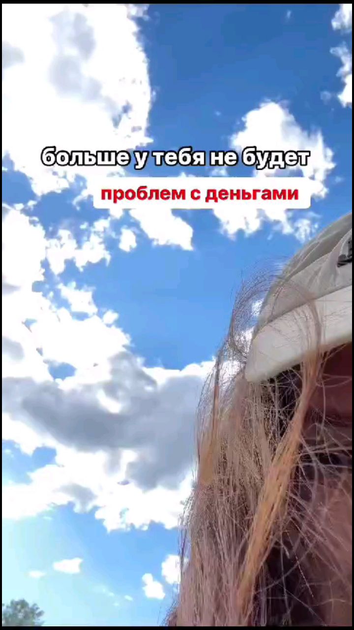 Looky_172909181786585 в LOOKY. . Пиши