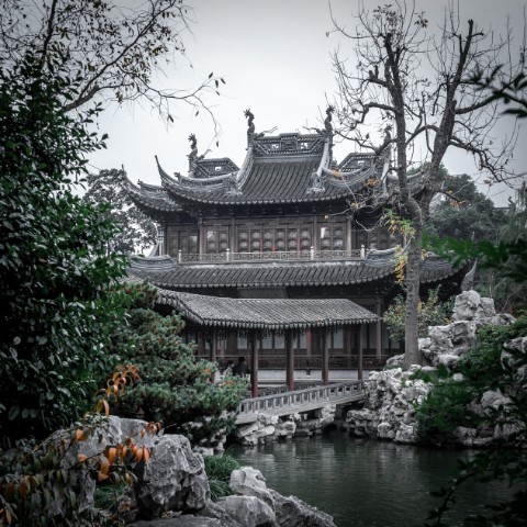 oleg.yusupov в LOOKY. #шанхай,#shanghai,#китай,#china,#азия,#город,#архитектура,#путешествия,#travel,#travelphoto,#путешествие,#мирвокруг,#вокругсвета,#разгребаяархивы. Сад Юй Юань (Сад рад...