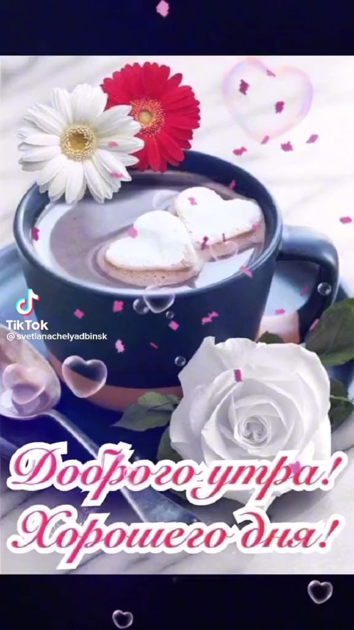 Looky_1691000679067 в LOOKY. . 
