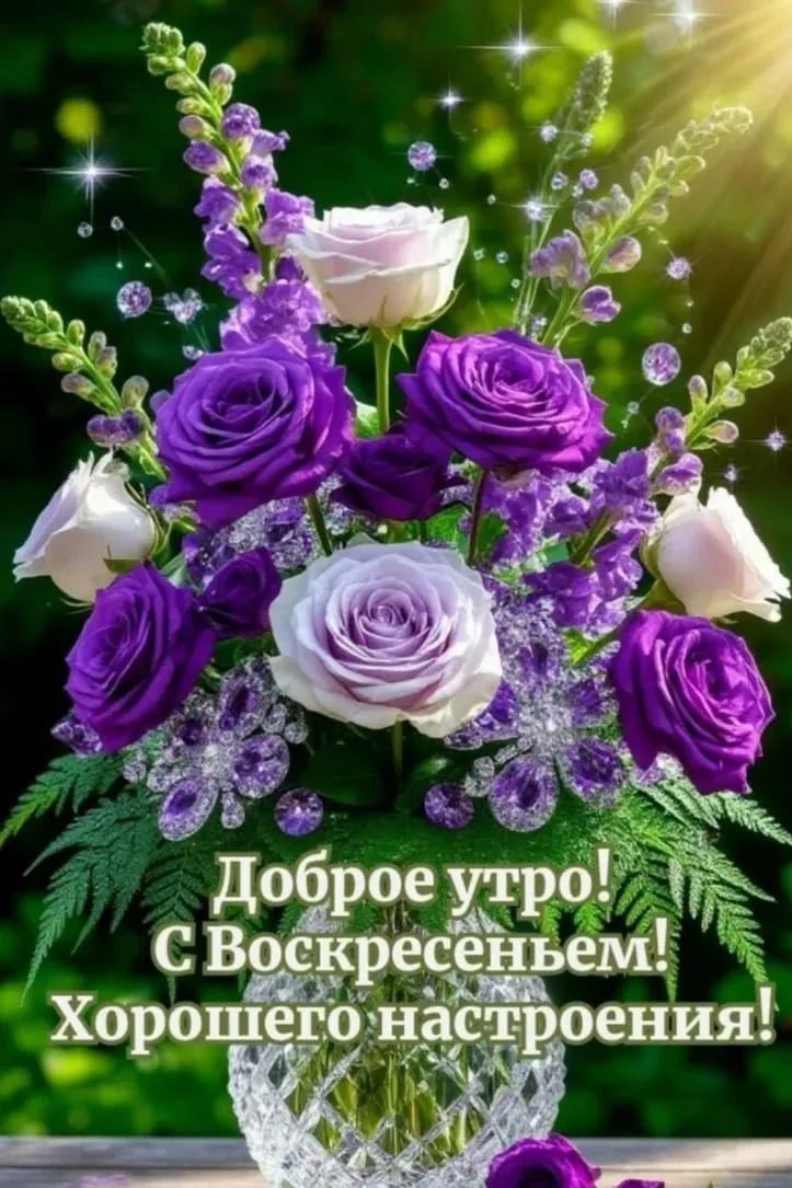 Сириус в LOOKY — публикация