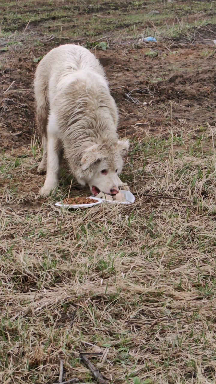 pinchuk_brand в LOOKY. . Обещала рассказать и...