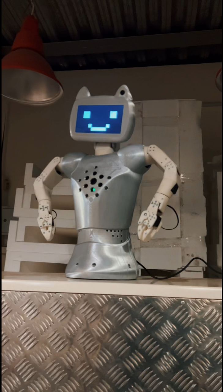 CRAZYBOTS в LOOKY. #робот,#роботы,#робототехника,#стартап,#robot,#robotics,#crazybots,#технологии,#ии,#ai. CRAZYBOTS - тут созд...
