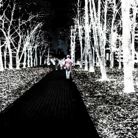 Looky_1670401899831 в LOOKY. . 