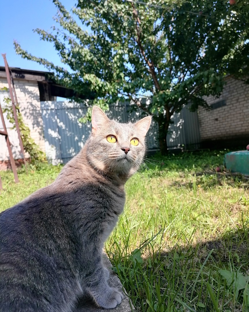 ИринаМилая in LOOKY. . Всем доброго дня! [#...