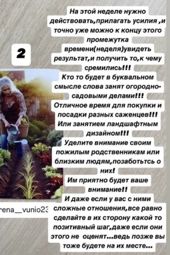 Таролог  Рена Эльф в LOOKY — фото 4