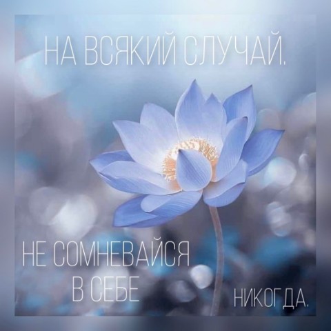 kosovskijy в LOOKY. . 