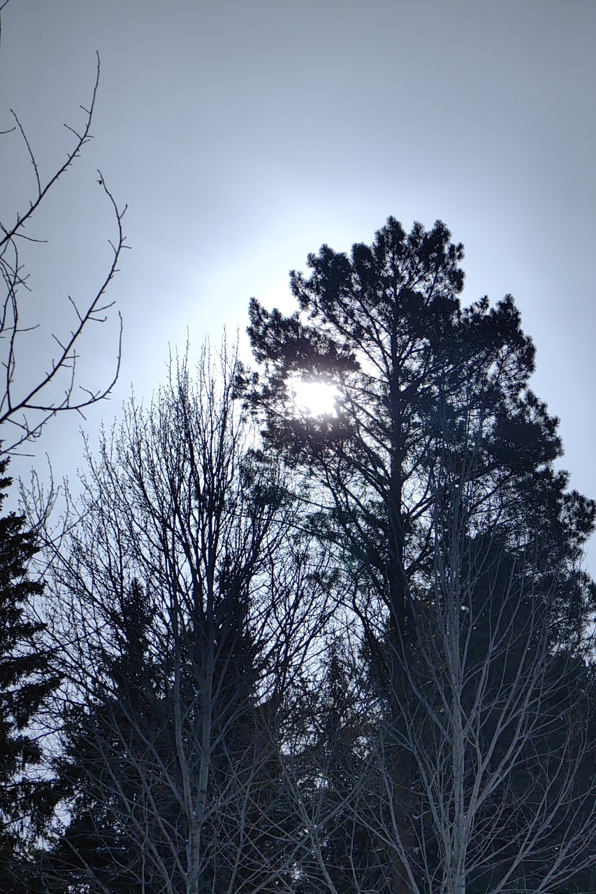 pinchuk_brand в LOOKY — фото 1