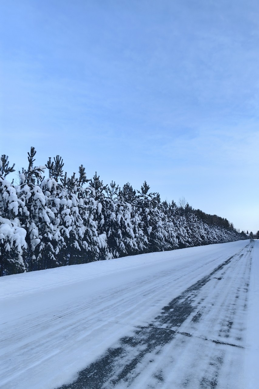 pinchuk_brand в LOOKY — фото 7