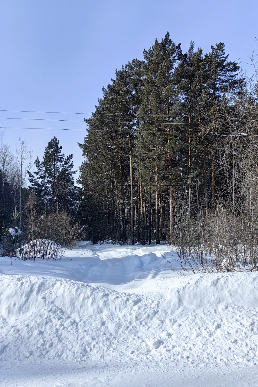 pinchuk_brand в LOOKY — фото 2