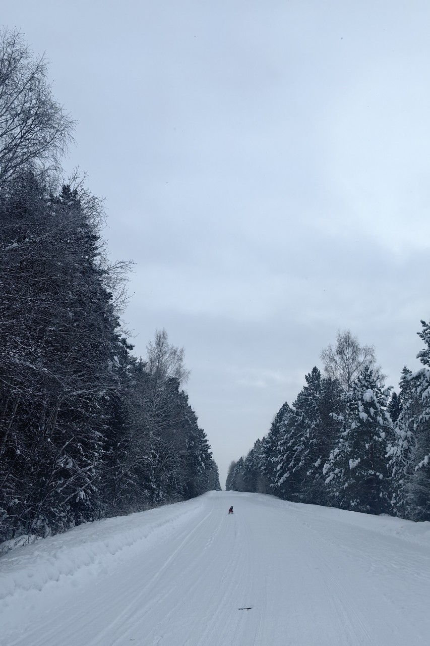 pinchuk_brand в LOOKY — фото 8