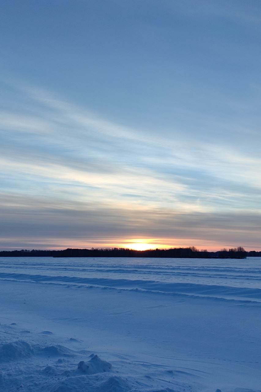 pinchuk_brand в LOOKY — фото 3