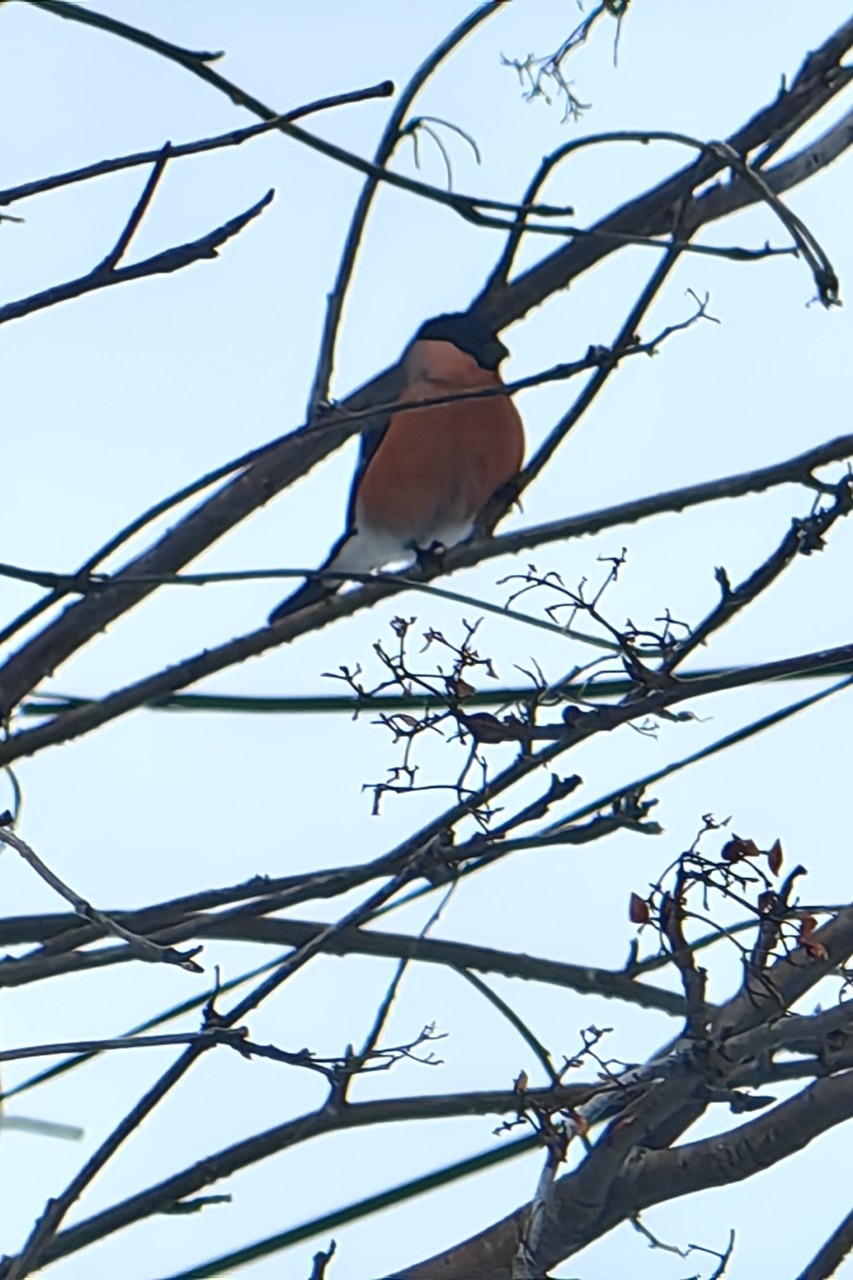 pinchuk_brand в LOOKY — фото 4