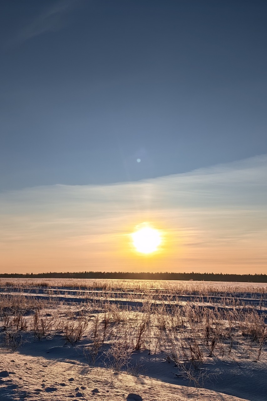 pinchuk_brand в LOOKY — фото 6