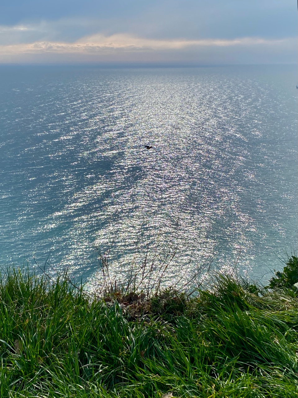 nina_melekhova в LOOKY — фото 9