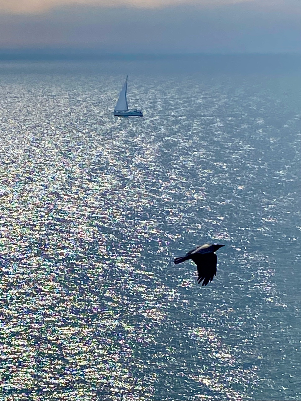 nina_melekhova в LOOKY — фото 2