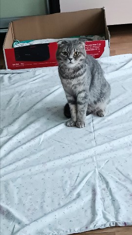 Корнева Марина в LOOKY. . Моя котосемейка🥰🥰�...