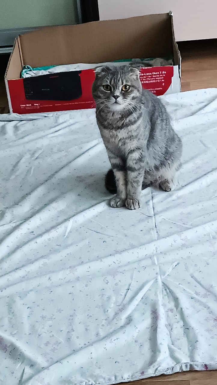Моя котосемейка🥰🥰🥰😍😍😍😘😘😘