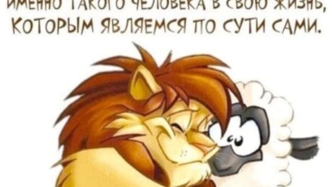 djcongr в LOOKY. . 
