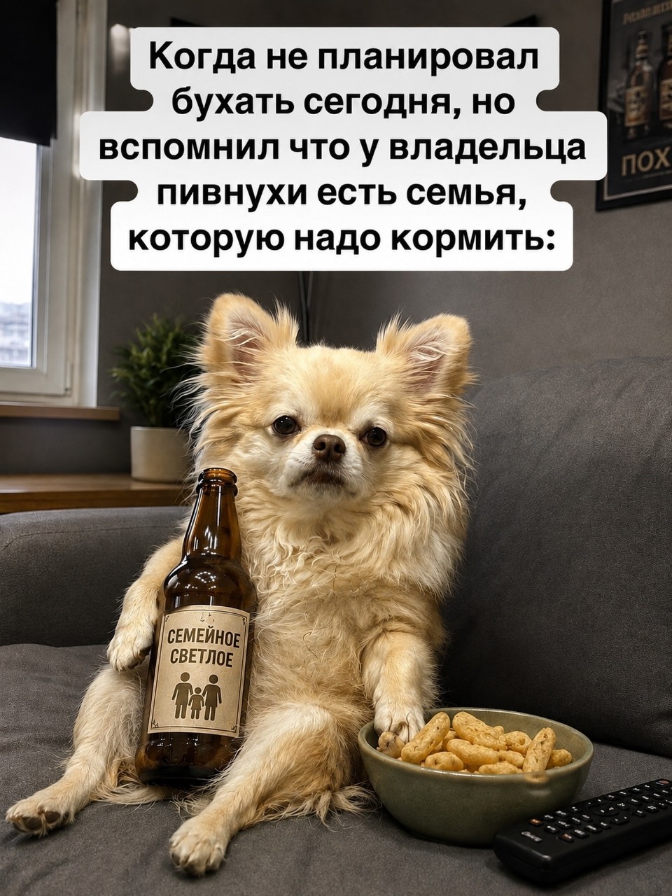 Otaka Gertez в LOOKY — публикация