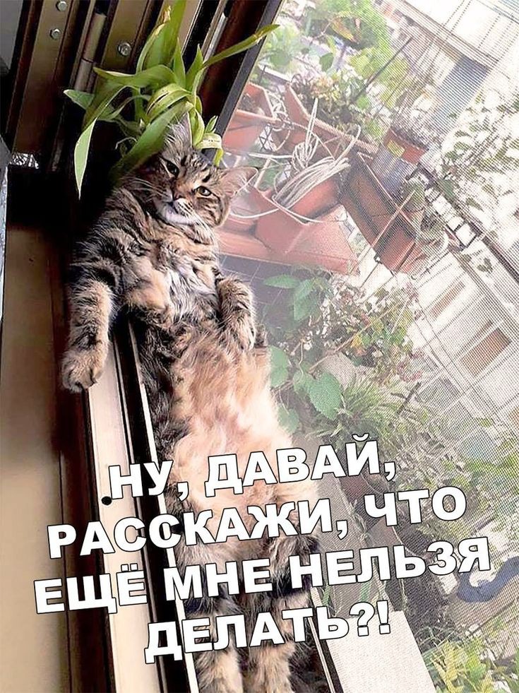 Сумеречный Сон в LOOKY — публикация