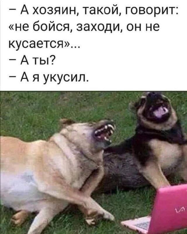 Evgeniy_Smexov в LOOKY — публикация