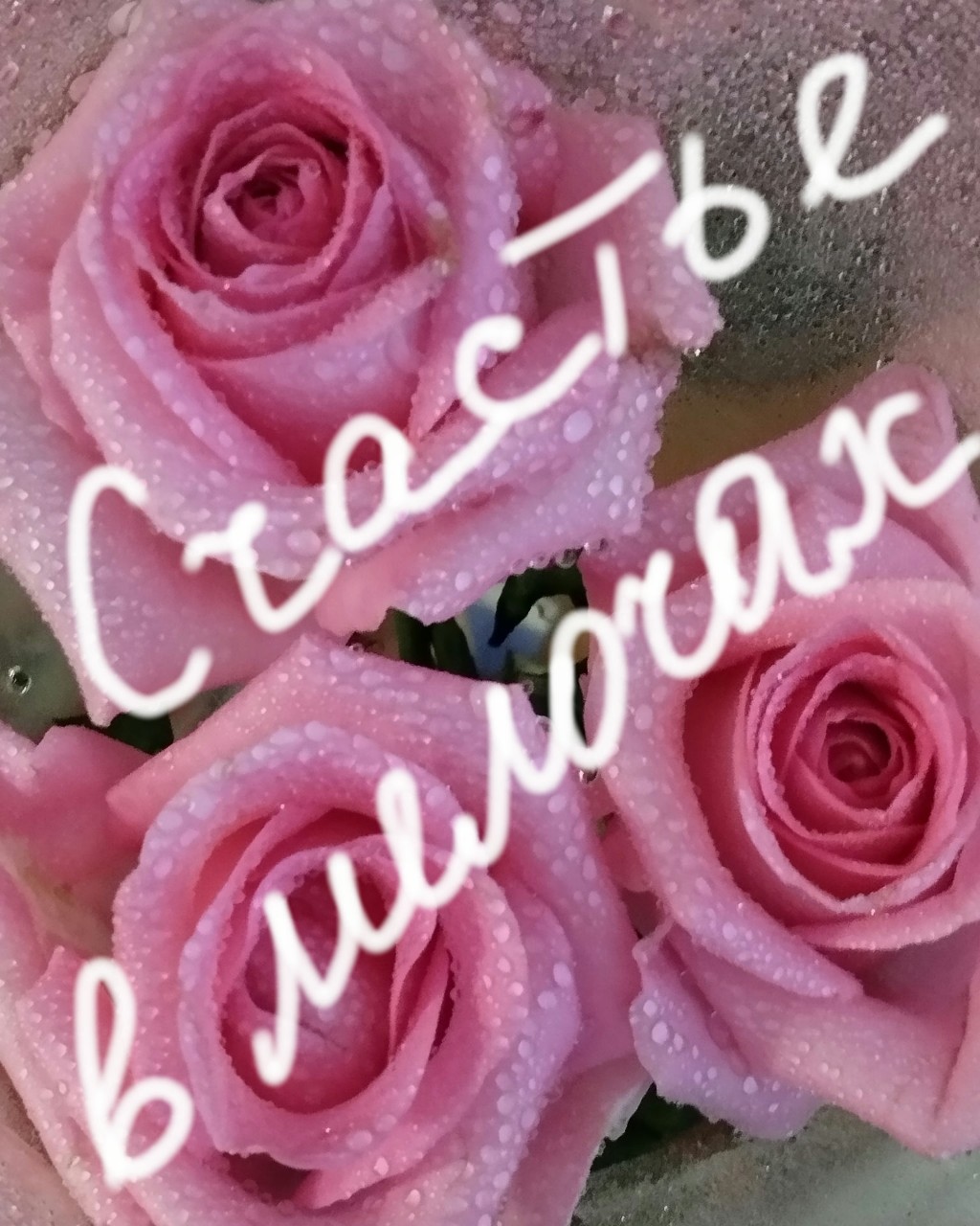 Не нужно искать счастье, наслаждайтесь сегодняшним моментом🥰💃😍