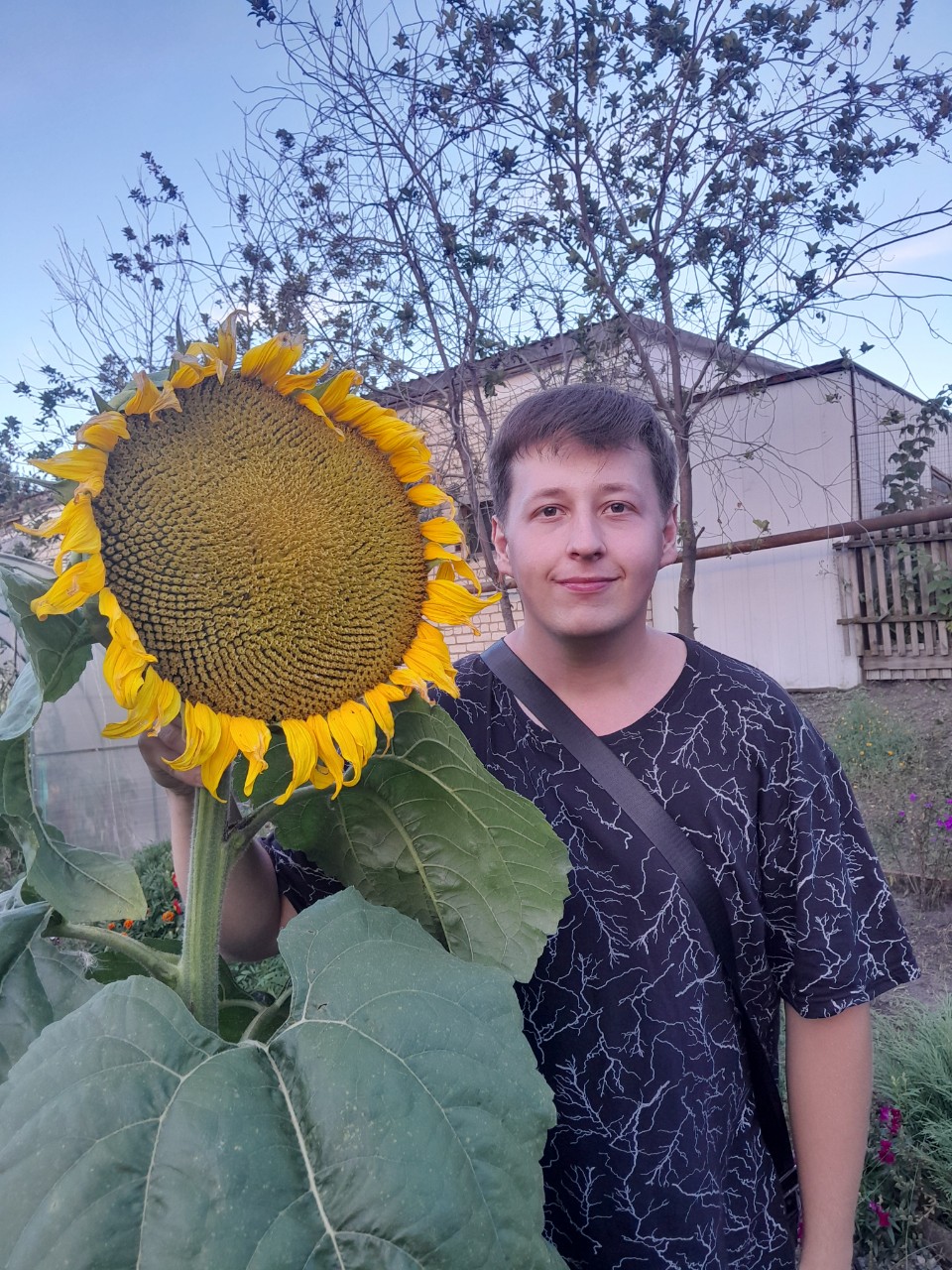 Данил в LOOKY — Я и подсолнух 🌻 
#подсолнух #пост #шелеметьев #Блогер