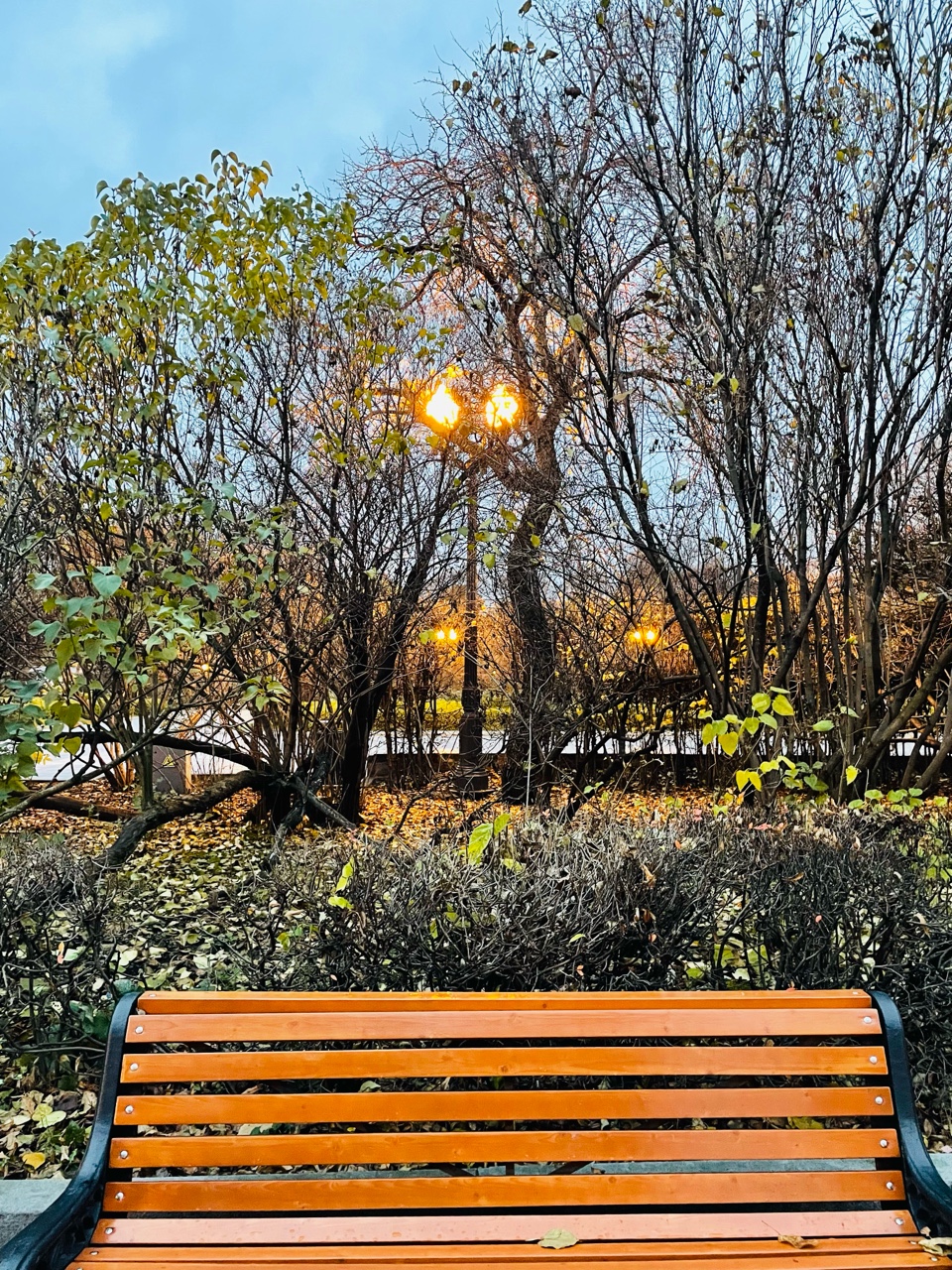 Светлана в LOOKY — фото 10