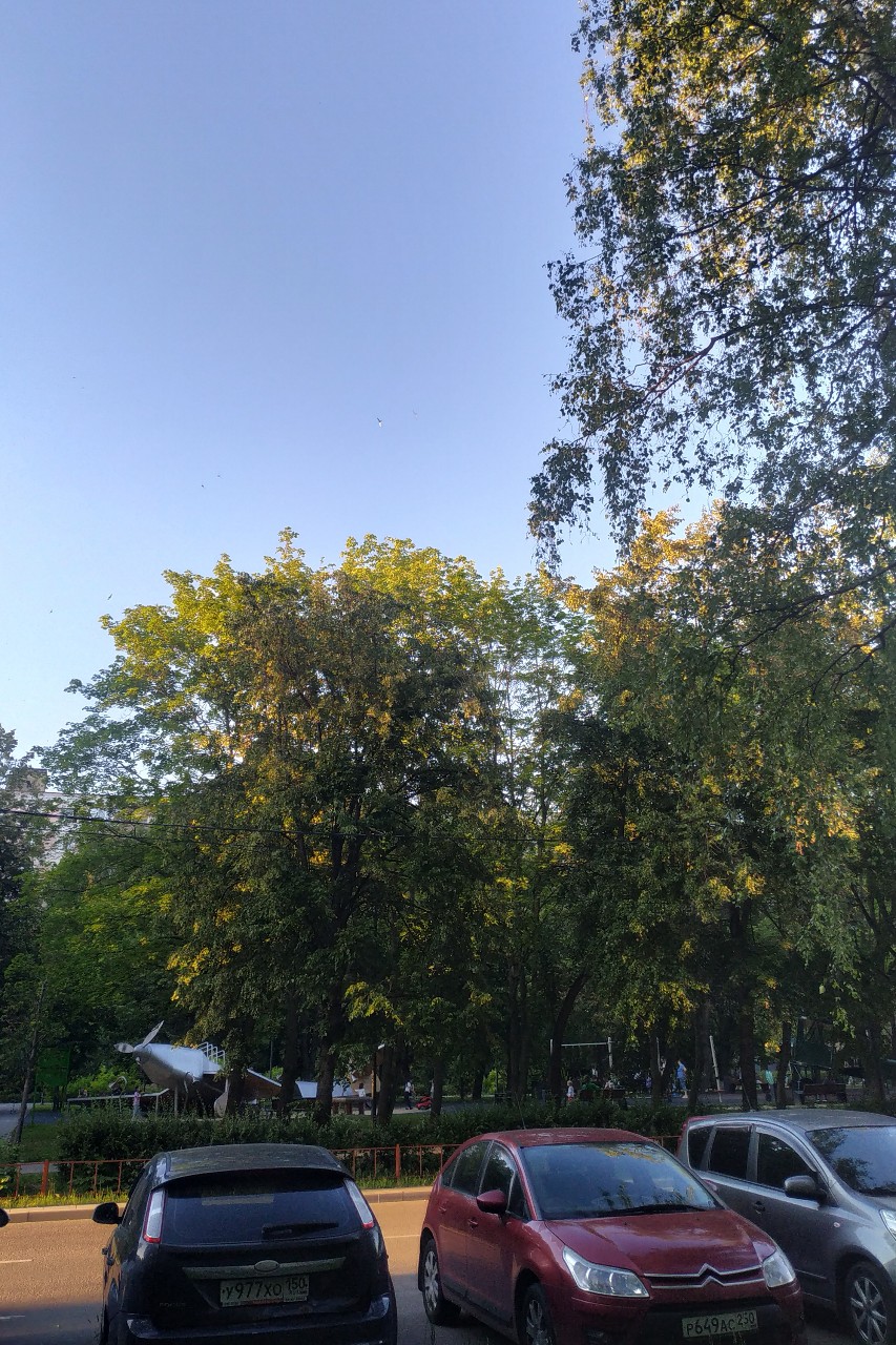 Olguita в LOOKY — публикация