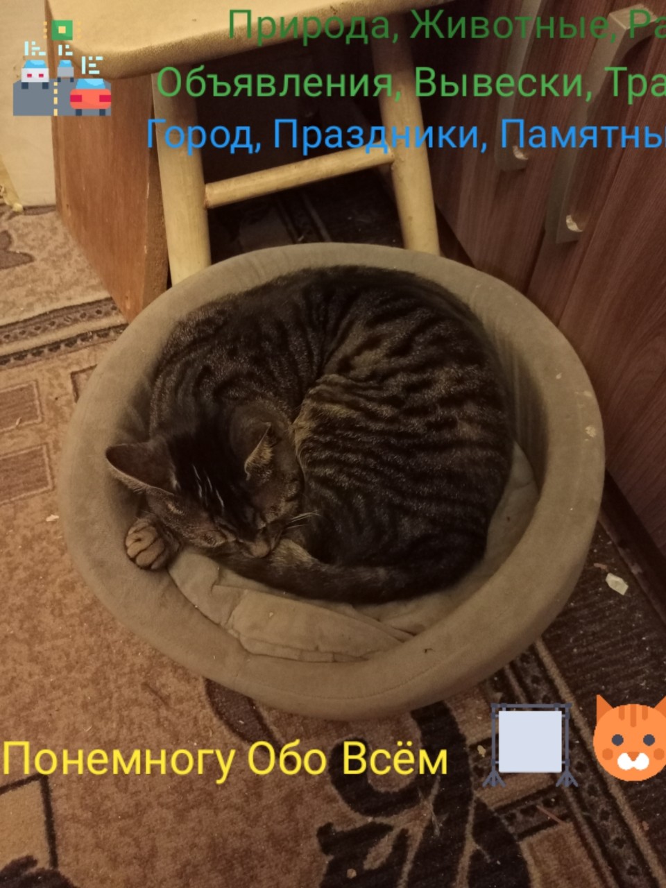 Понемногу Обо Всём в LOOKY — фото 2