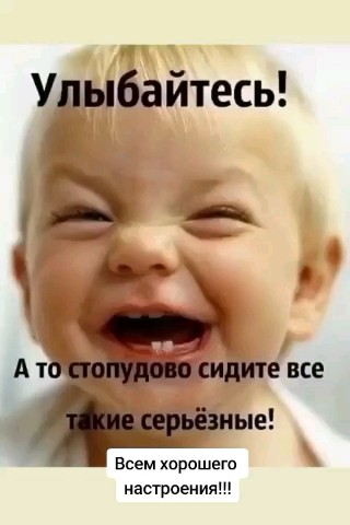 ВОЛК СЕРЫЙ в LOOKY — публикация