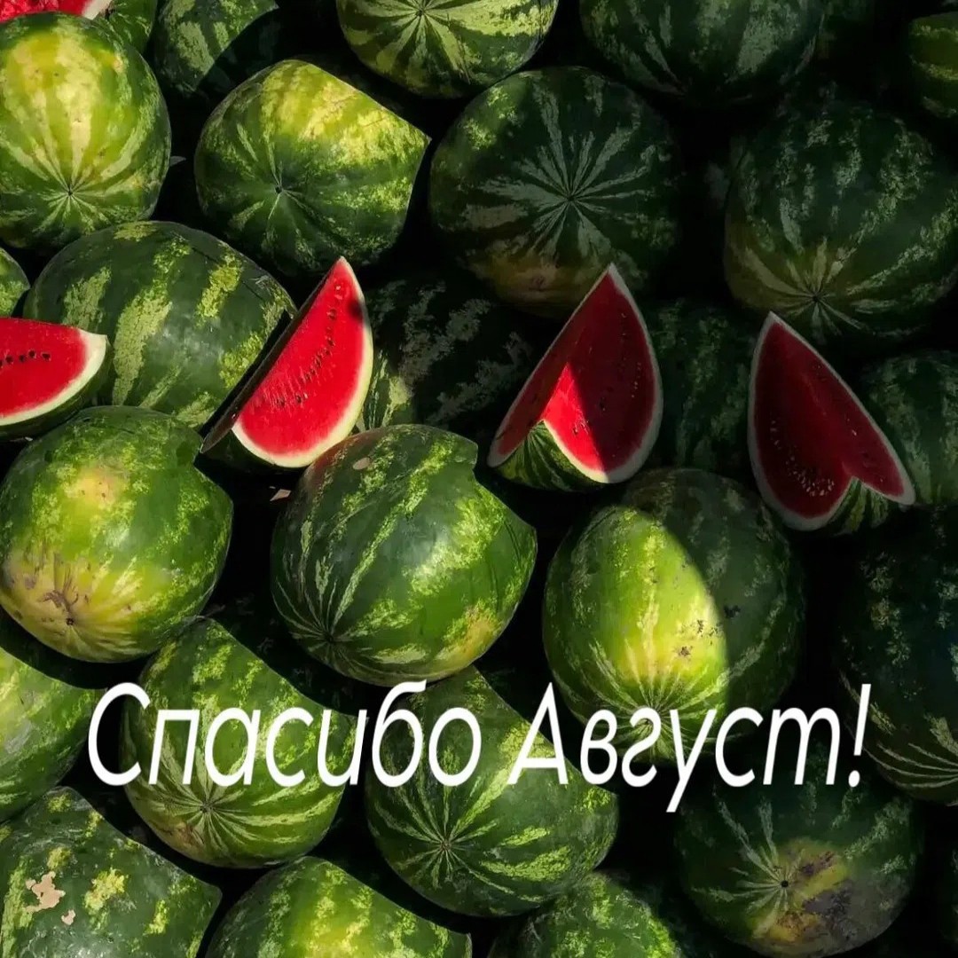  в LOOKY — публикация