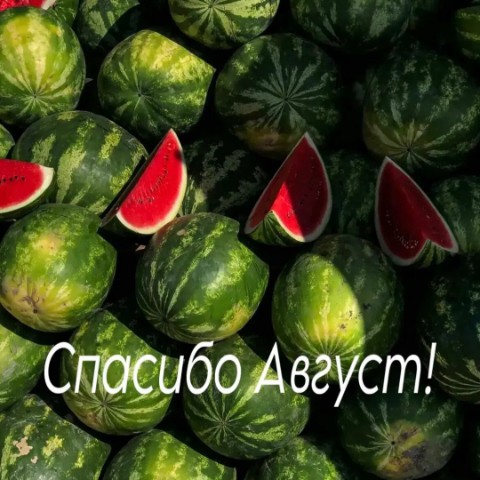 Looky_1720632164548 в LOOKY. . 
