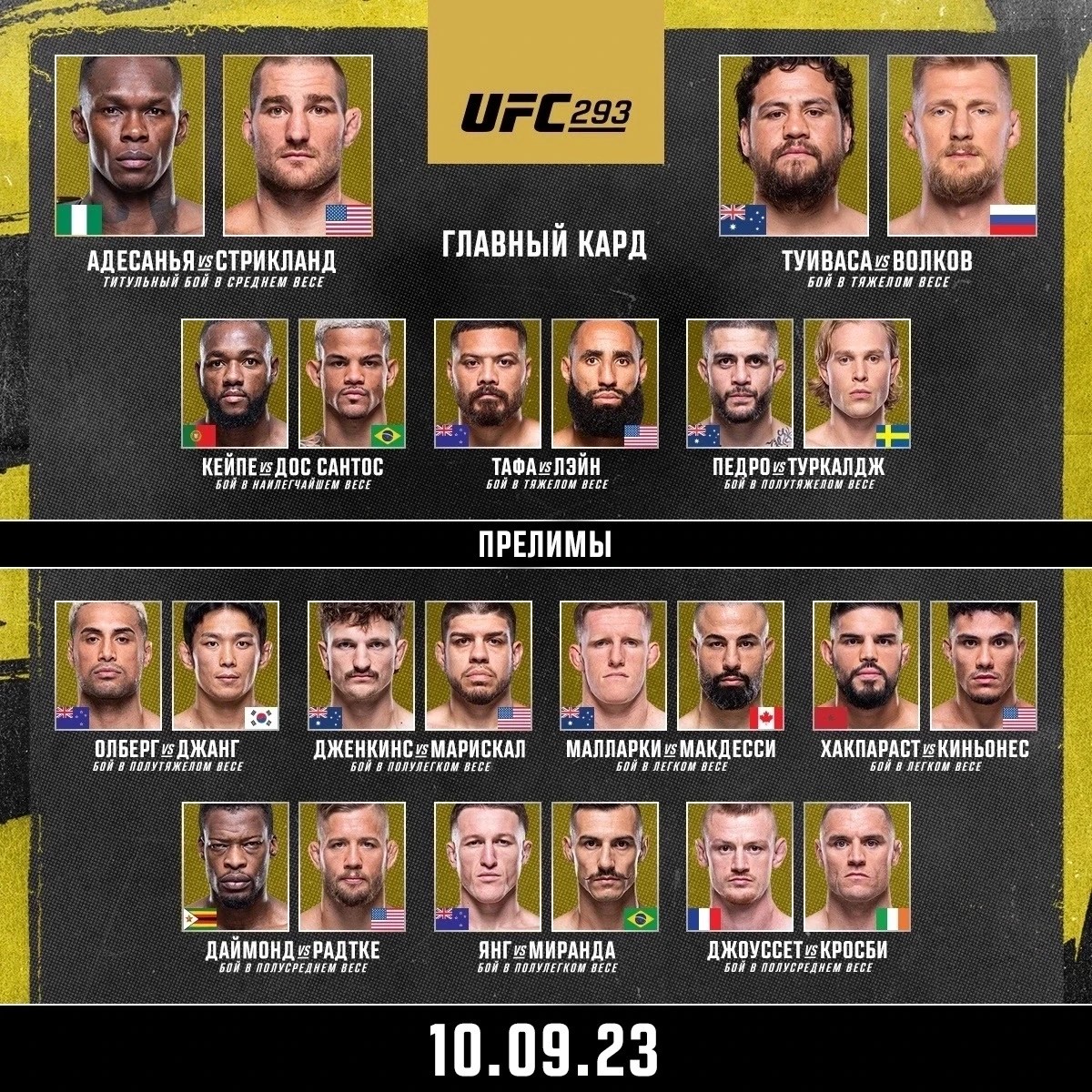 #UFC293