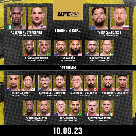 мма в LOOKY. #UFC293. #UFC293